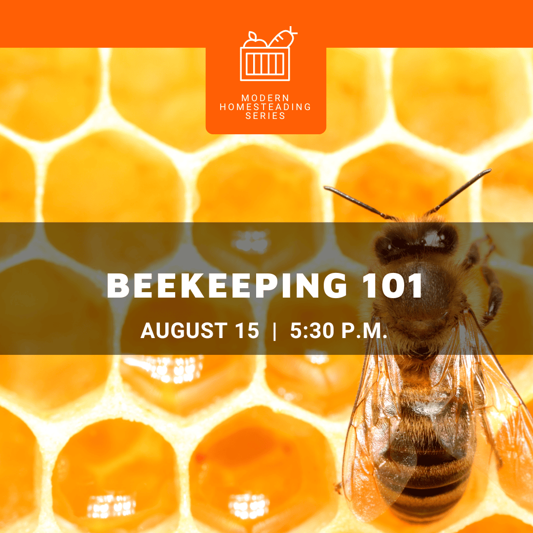 Beekeeping 101 Illinois Extension