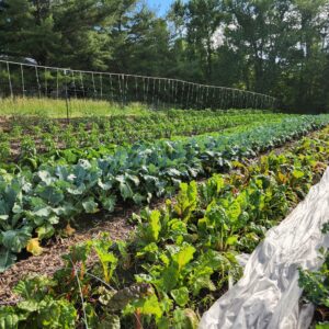 May 2024 Field Day - Beet Root Farm - 2