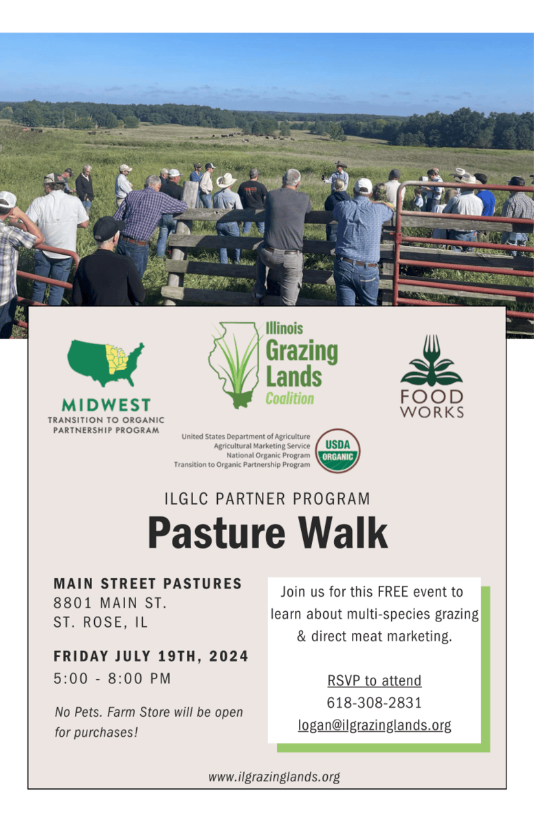 Main Street Pastures Pasture Walk - July 2024
